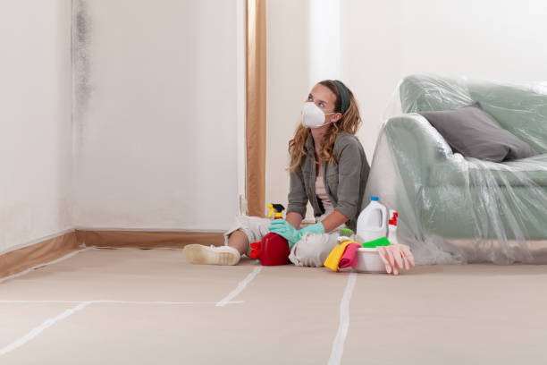 Reliable Mold Cleanup contractor in Boykins, VA by WQB Mold Removal